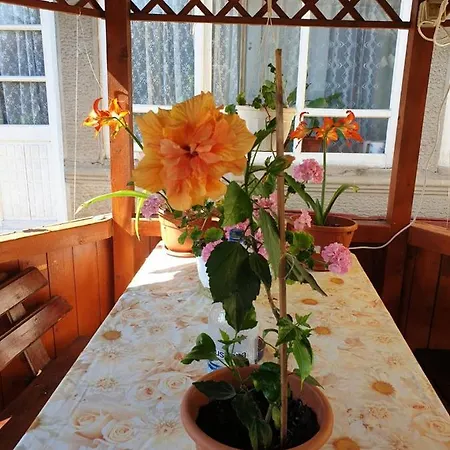 Casa Di Madi Două Mai